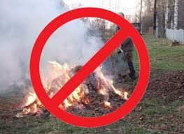 Гірська сільська рада попереджає про заборону спалювання сухої трави, залишків рослинності, сміття та побутових відходів!