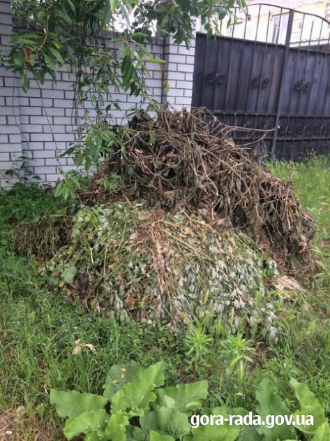 Гірська сільська рада закликає не виставляти органічне сміття біля своїх домоволодінь!