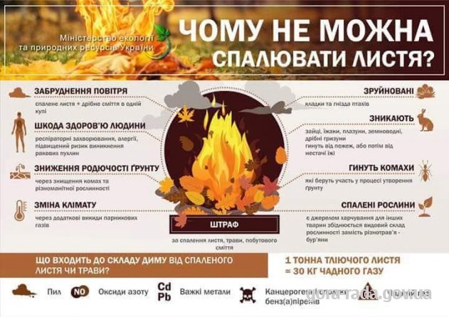 Чому не можна спалювати сміття