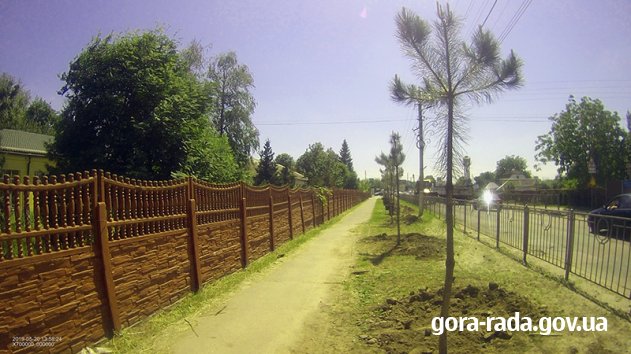 У Горі розпочались роботи по заміні кількісного складу та порід зелених насаджень
