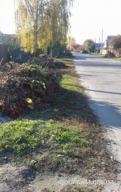 Гірська сільська рада організовує вивезення органічного сміття з 9 вересня 2019р.