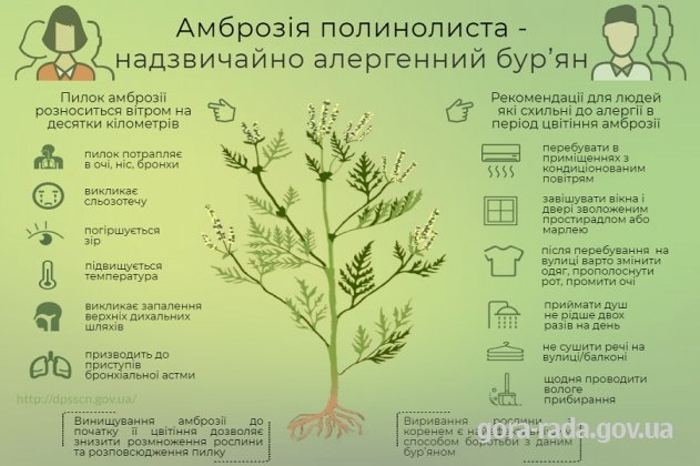 Звіт щодо виконання ПРОГРАМИ боротьби з карантинними рослинами на території Гірської сільської ради на 2018-2020 роки в період з 01.05.19 по 11.09.19